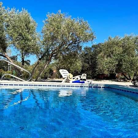 Refugio Andaluz Con Piscina Entre Olivos Villanueva de Tapia Luaran gambar