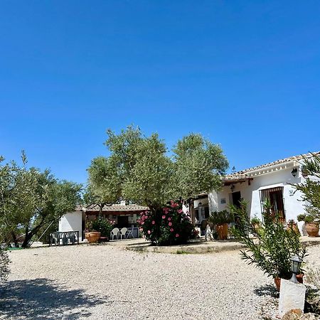 Refugio Andaluz Con Piscina Entre Olivos Villanueva de Tapia Luaran gambar