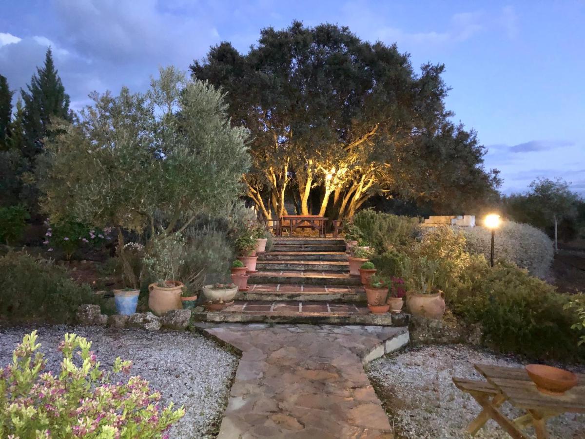 Refugio Andaluz Con Piscina Entre Olivos Villanueva de Tapia Luaran gambar