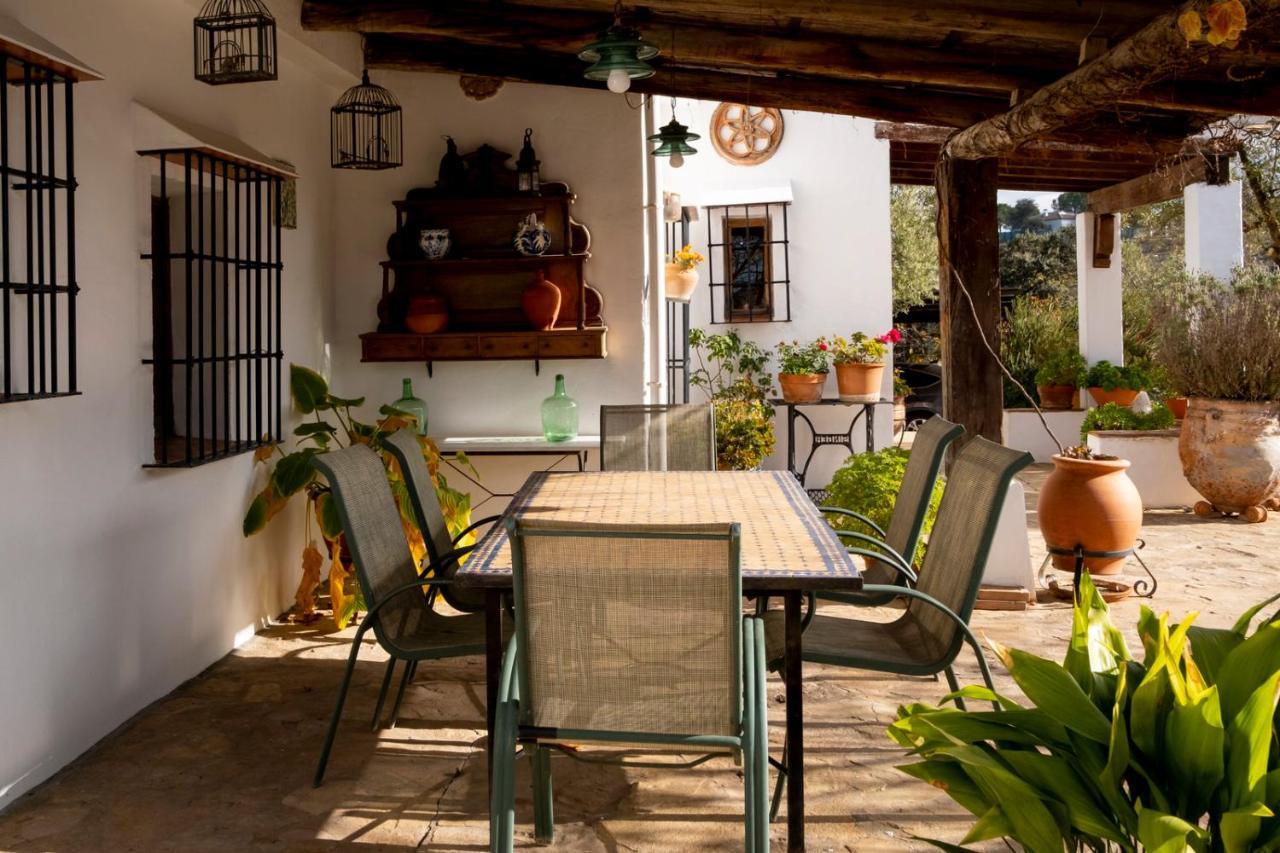 Refugio Andaluz Con Piscina Entre Olivos Villanueva de Tapia Luaran gambar
