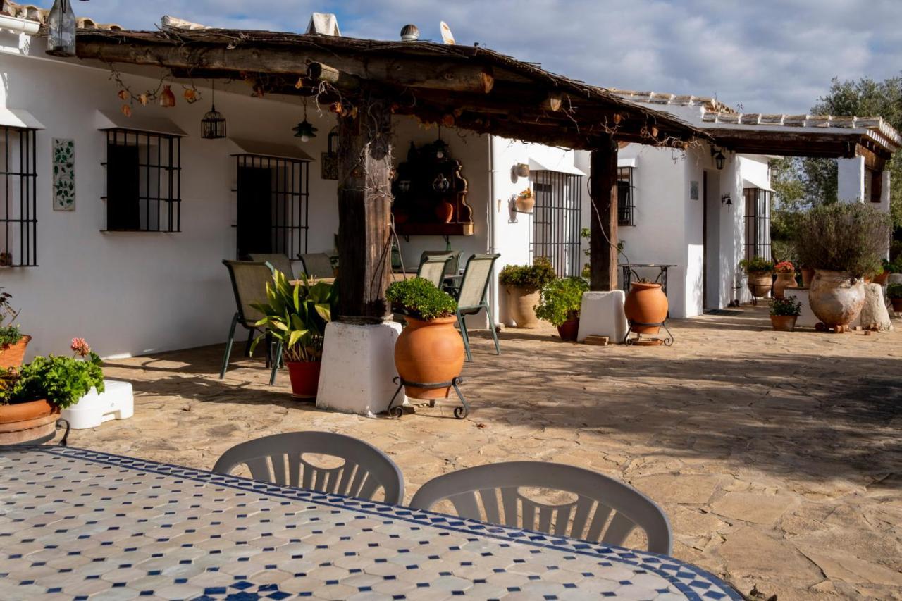Refugio Andaluz Con Piscina Entre Olivos Villanueva de Tapia Luaran gambar