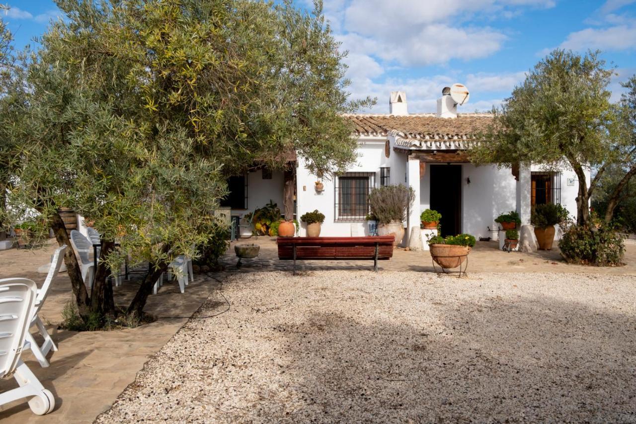 Refugio Andaluz Con Piscina Entre Olivos Villanueva de Tapia Luaran gambar