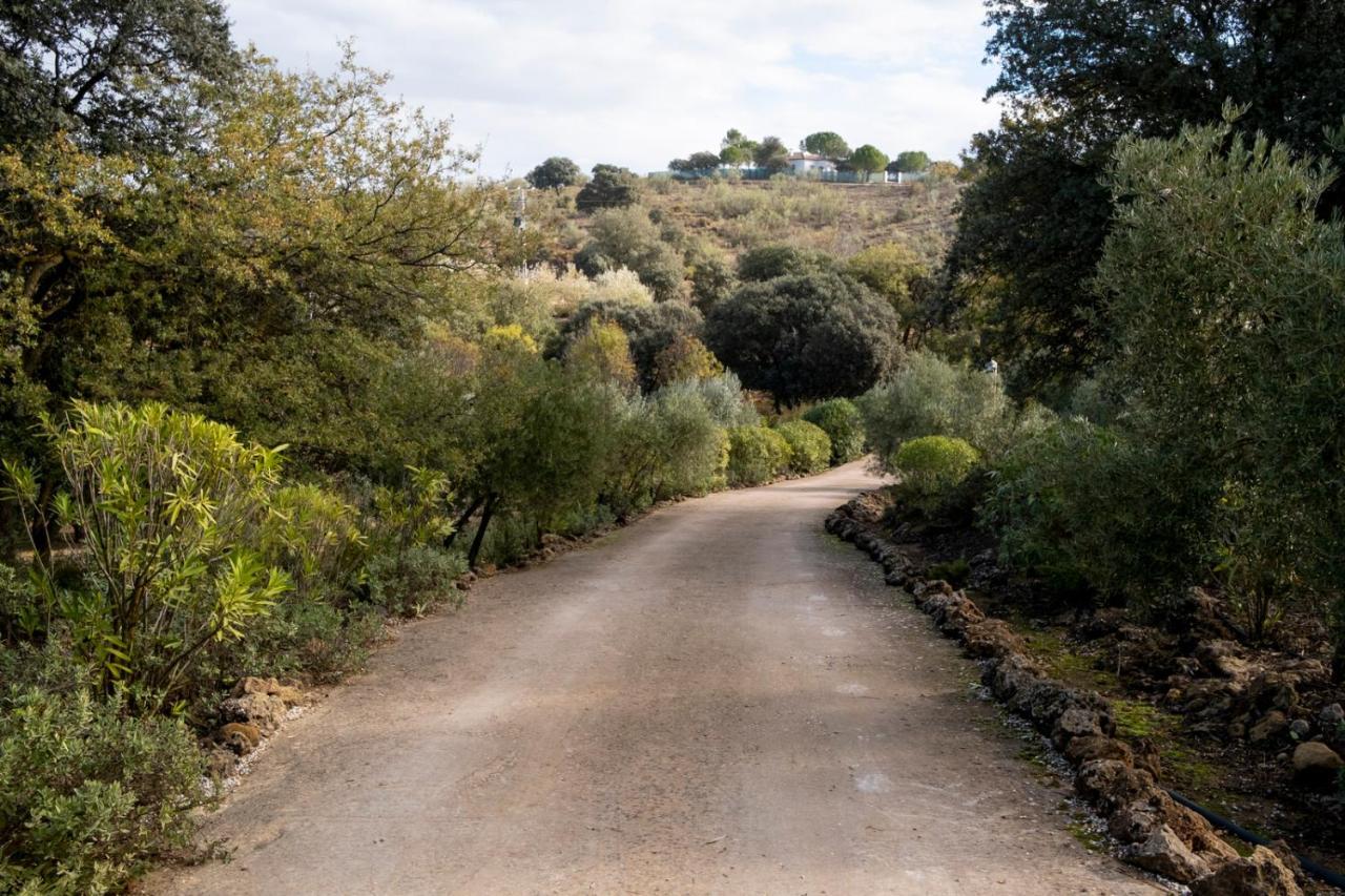 Refugio Andaluz Con Piscina Entre Olivos Villanueva de Tapia Luaran gambar