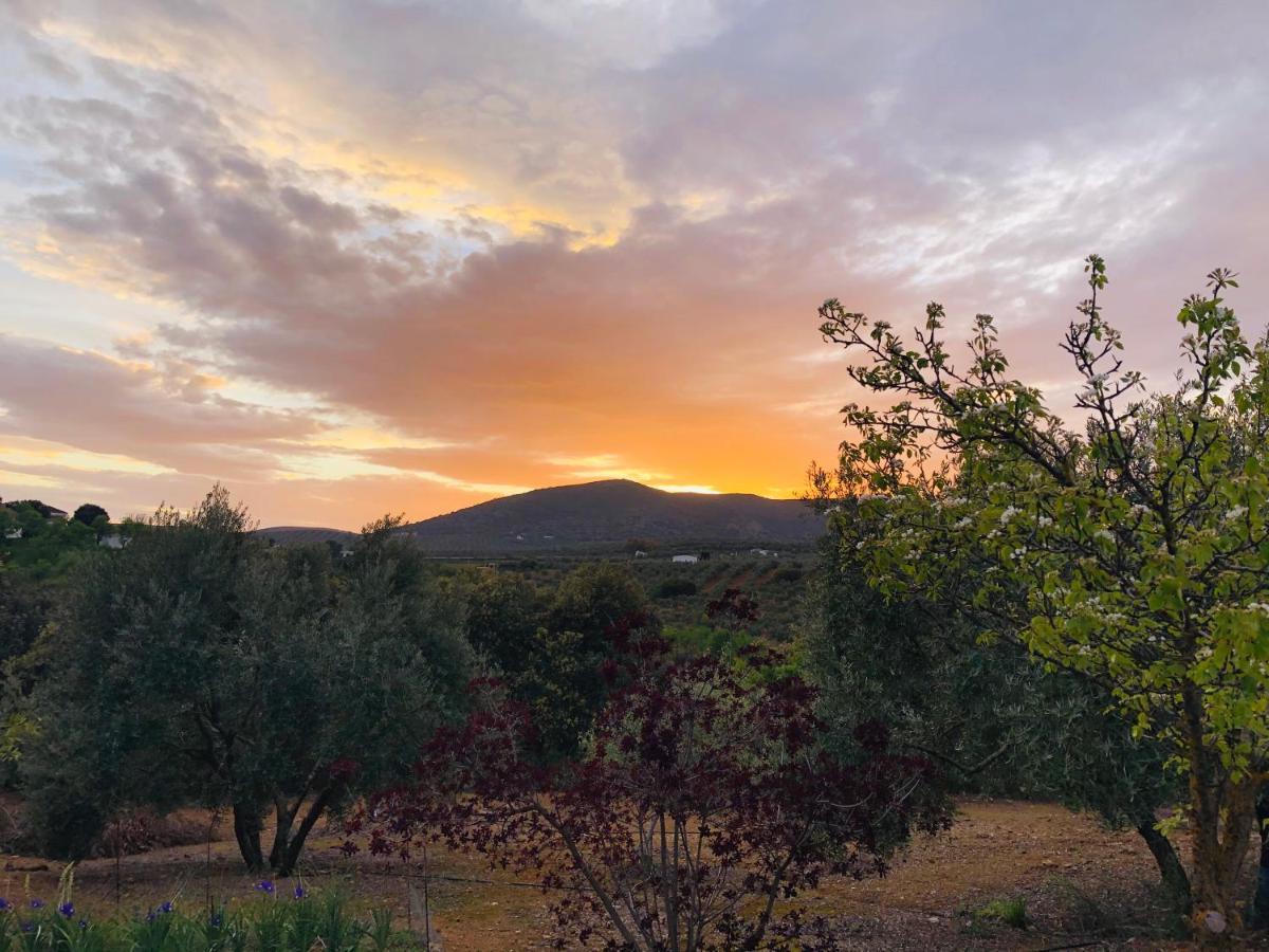 Refugio Andaluz Con Piscina Entre Olivos Villanueva de Tapia Luaran gambar