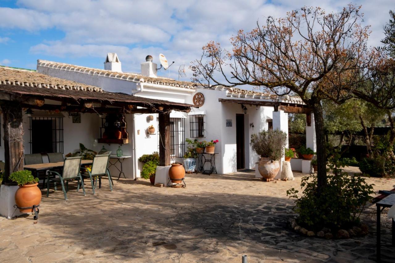 Refugio Andaluz Con Piscina Entre Olivos Villanueva de Tapia Luaran gambar