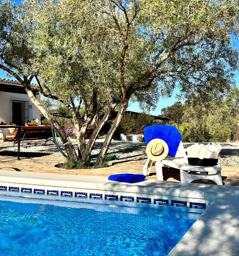 Refugio Andaluz Con Piscina Entre Olivos Villanueva de Tapia Luaran gambar
