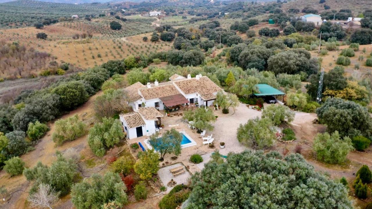 Refugio Andaluz Con Piscina Entre Olivos Villanueva de Tapia Luaran gambar