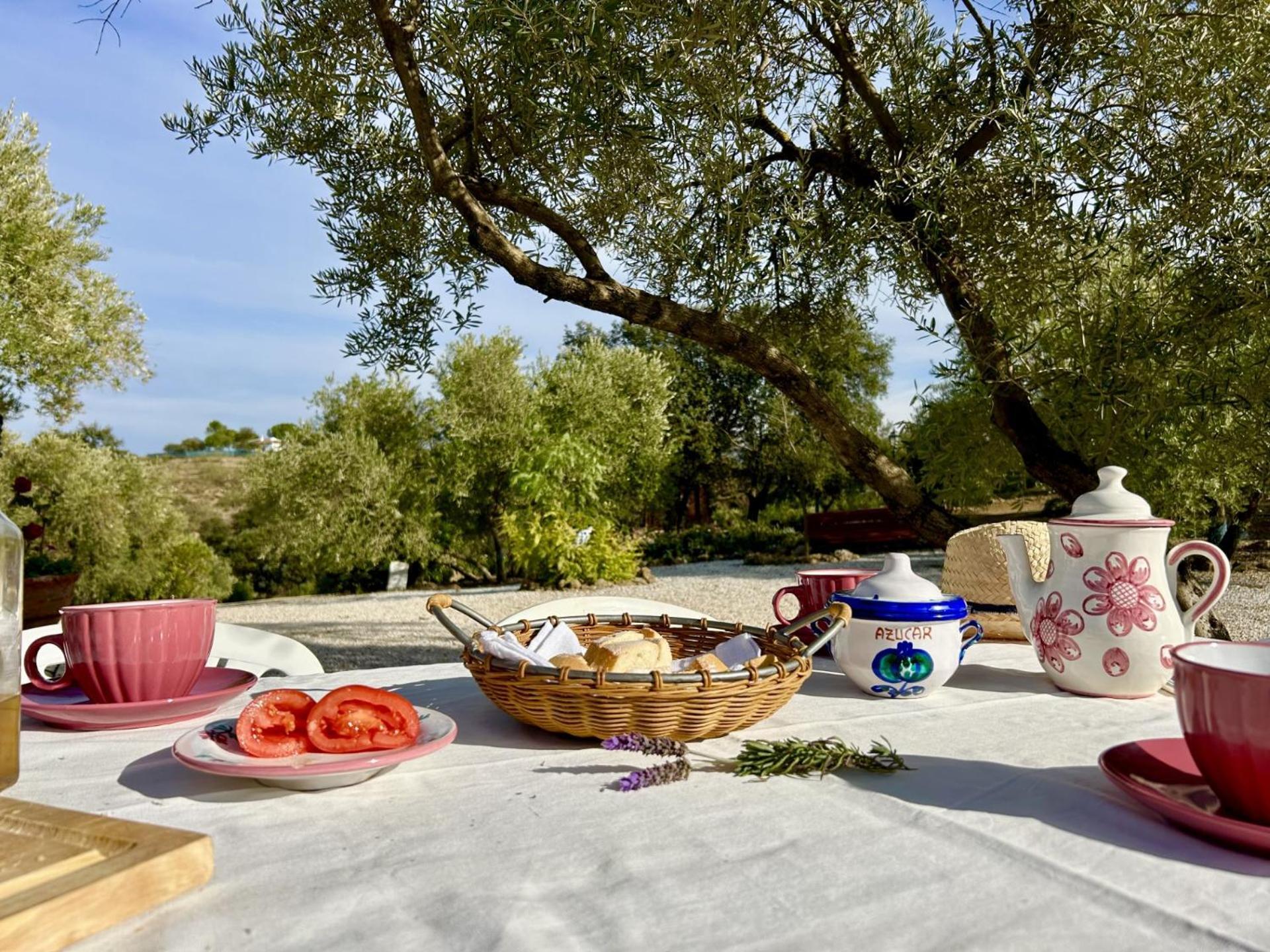 Refugio Andaluz Con Piscina Entre Olivos Villanueva de Tapia Luaran gambar
