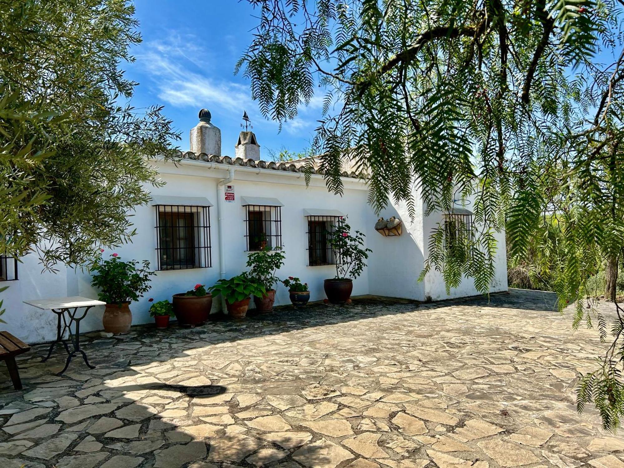 Refugio Andaluz Con Piscina Entre Olivos Villanueva de Tapia Luaran gambar