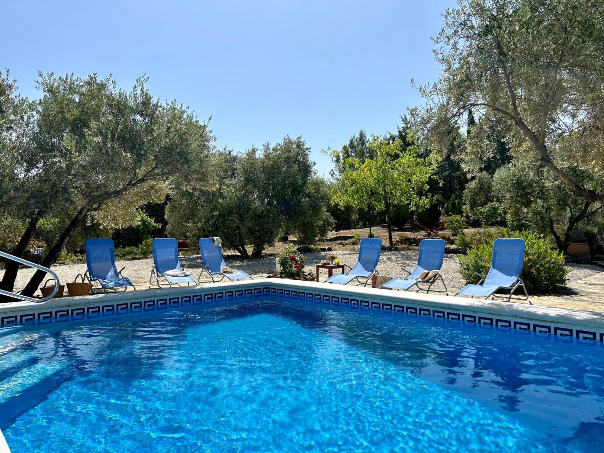 Refugio Andaluz Con Piscina Entre Olivos Villanueva de Tapia Luaran gambar