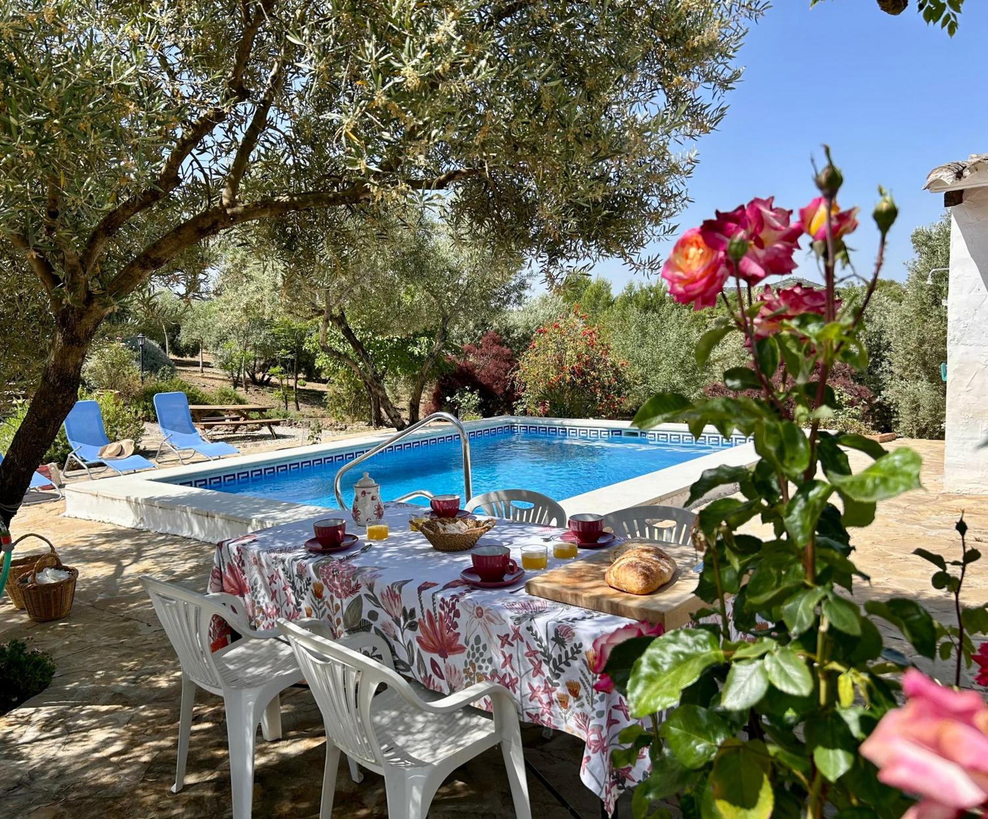 Refugio Andaluz Con Piscina Entre Olivos Villanueva de Tapia Luaran gambar